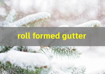 roll formed gutter